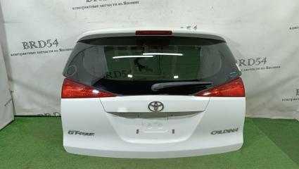 Дверь багажника задняя TOYOTA Caldina 2003
