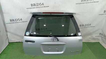 Дверь багажника задняя Toyota RAUM 1997