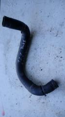 Патрубок радиатора нижний TOYOTA ALLION 2006 контрактная Патрубок радиатора нижний TOYOTA ALLION 2006