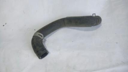 Запчасть патрубок радиатора нижний TOYOTA Gaia 2002