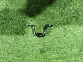 Скоба стабилизатора передняя TOYOTA PRIUS 2009