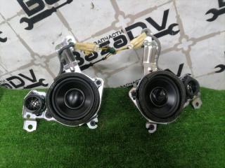 Динамик задний Lexus LS460 2010.08