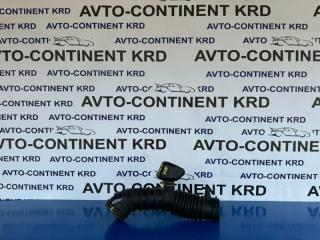 Запчасть гофра воздушного фильтра Mitsubishi Dion