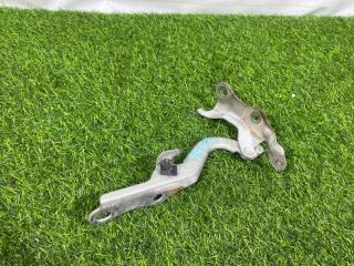 Запчасть петля капота передняя правая Toyota COROLLA SPACIO 2004