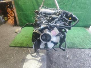 Фото запчасти двигатель NISSAN ELGRAND контрактная запчасть Запчасть двигатель NISSAN ELGRAND