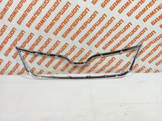 Молдинг решетки радиатора Rapid