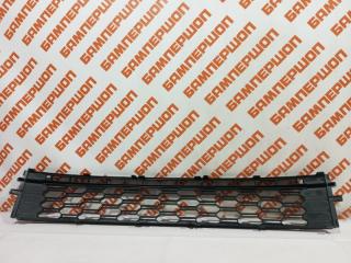 Решетка бампера центральная Rapid