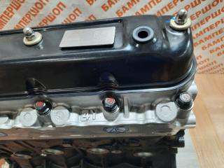 Двигатель GW491QE