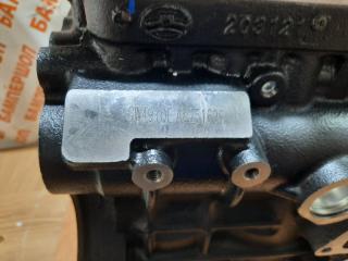 Двигатель GW491QE