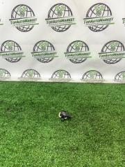 Запчасть датчик airbag передний правый Audi A6 2013