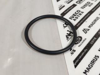 Запчасть прокладка помпы Fiat Iveco Ducato Daily 2002 - наст. время