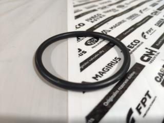 Прокладка помпы Ducato Daily 2002 - наст. время 244 250 2.3 JTD