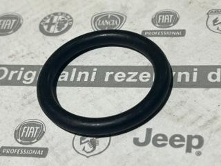 Прокладка теплообменника Ducato Daily Patriot 2002 - наст. время 244 / 250 / 290 / 3 / 4 / 5 2.3 JTD - 2.3 HPi F1A F1AE