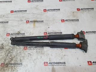 Амортизатор задний VOLVO S40 MS66 B5244S5 1 ракурс