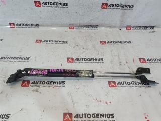 Амортизатор задней двери задний SUZUKI AERIO RD51S 1 ракурс