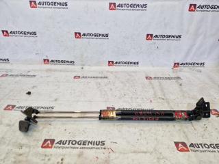 Амортизатор задней двери SUZUKI AERIO RD51S M18A 1 ракурс