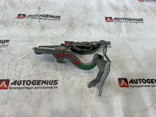 Петля капота передняя TOYOTA COROLLA SPACIO NZE121 1NZ-FE 1 ракурс
