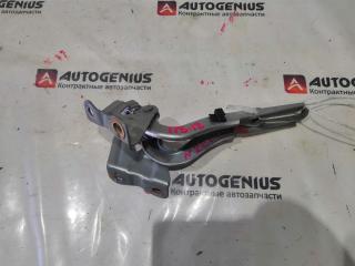 Петля капота TOYOTA COROLLA AXIO NZE141 1NZ-FE 2 ракурс
