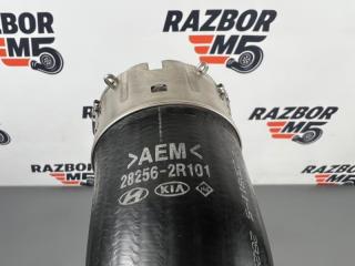 Патрубок интеркуллера Sorento 2025 MQ4 D4HE