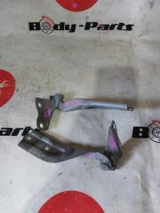 Петля капота DAIHATSU TERIOS J100G 1 ракурс