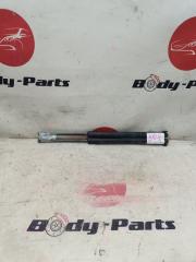 Амортизатор задней двери TOYOTA PORTE NNP11 1 ракурс