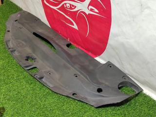 Защита замка капота LEXUS IS250 GSE20 5329553010, 5379653010, 5379553010, 5380753010, 5382653010 5 ракурс