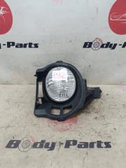 Туманка левая TOYOTA PORTE NNP15 4234 1 ракурс Туманка левая TOYOTA PORTE NNP15 4234 1 ракурс