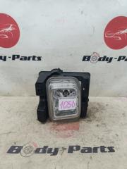 Туманка правая HONDA Stepwgn RG3 7965 1 ракурс