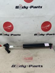 Амортизатор задней двери HONDA ELYSION RR3 1 ракурс