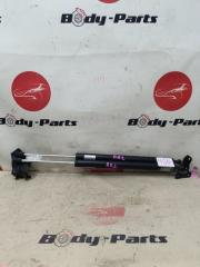 Амортизатор задней двери HONDA ELYSION RR2 1 ракурс