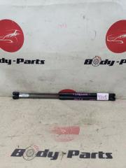 Амортизатор задней двери NISSAN PRESAGE PU31 1 ракурс