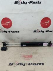 Амортизатор задней двери HONDA ELYSION RR1 1 ракурс
