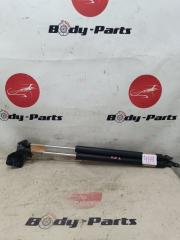 Амортизатор задней двери HONDA ELYSION RR3 1 ракурс