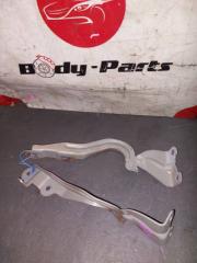 Петля капота NISSAN DAYZ B21W 2 ракурс