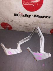 Петля капота HONDA Elysion RR2 1 ракурс