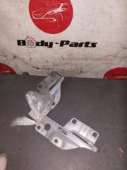Петля капота NISSAN SUNNY FNB15 2 ракурс
