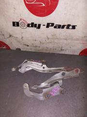Петля капота TOYOTA NADIA ACN10 1 ракурс