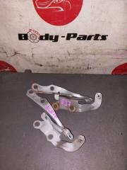 Петля капота TOYOTA NADIA ACN10 2 ракурс