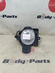Туманка правая TOYOTA NOAH AZR65 42-34 1 ракурс