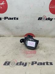 Туманка левая NISSAN BLUEBIRD SYLPHY KG11 044633 1 ракурс