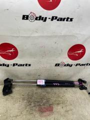 Амортизатор задней двери HONDA ELYSION RR1 1 ракурс
