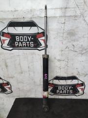 Амортизатор задний DAIHATSU CAST LA250S 48531-B2J01 1 ракурс