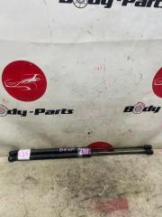 Амортизатор задней двери MAZDA AXELA BK5P 1 ракурс