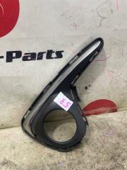 Ободок туманки правый передний TOYOTA VITZ ncp135 52030-52070 1 ракурс