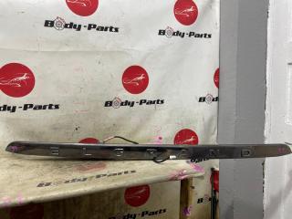 Накладка 5-й двери NISSAN ELGRAND pne52 90810 1 ракурс