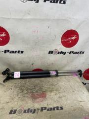 Амортизатор задней двери HONDA ELYSION RR4 1 ракурс