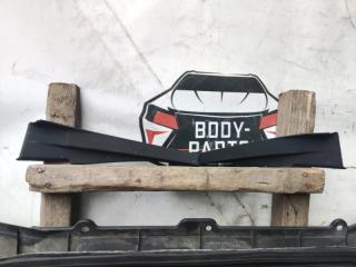 Жабо NISSAN ELGRAND PNE52 66862 1JB1A 2 ракурс