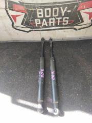 Амортизатор капота NISSAN SKYLINE NV35 84430 AL500 1 ракурс