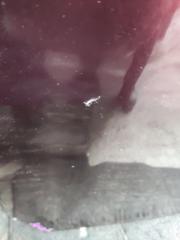 Капот TOYOTA CROWN GRS181 3 ракурс