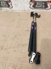 Амортизатор задней двери HONDA ELYSION RR1 6E26C2 1 ракурс